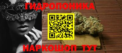 эйфоретик Можга